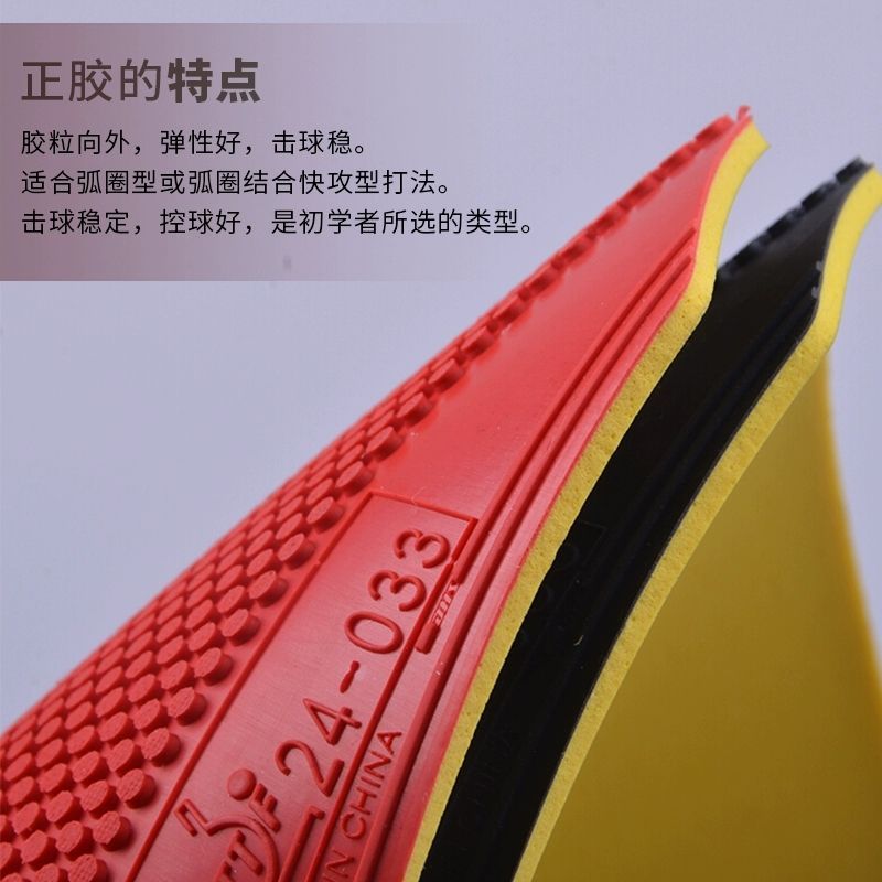 Gomma Originale DHS Dragon Sha - Table Tennis Venue recensione e prezzo